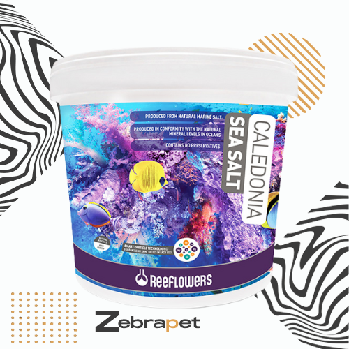 ReeFlowers Caledonia Sea Salt 6.5kg